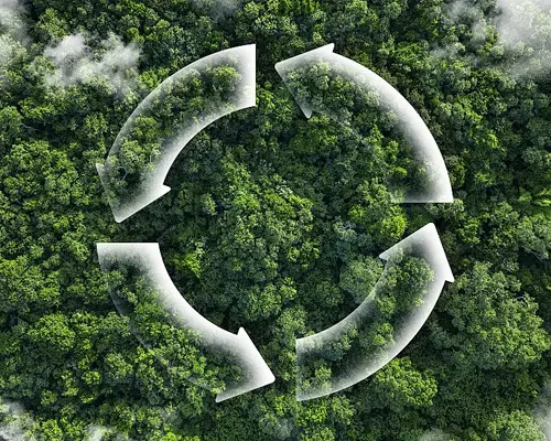 La exportación de productos químicos y fertilizantes ha aumentado constantemente