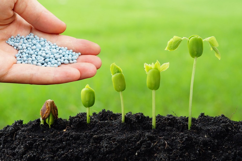 Declaración importante sobre la política de exportación de fertilizantes de China para 2026